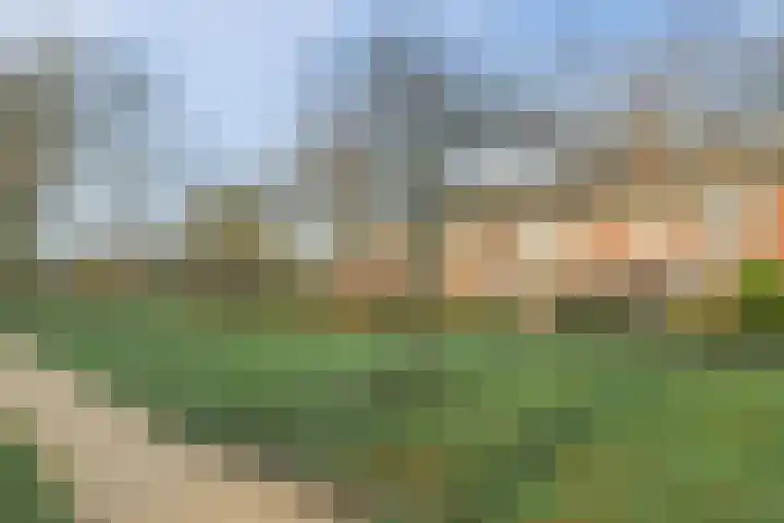 Kreeft 16 Katwijk thumbnail 36