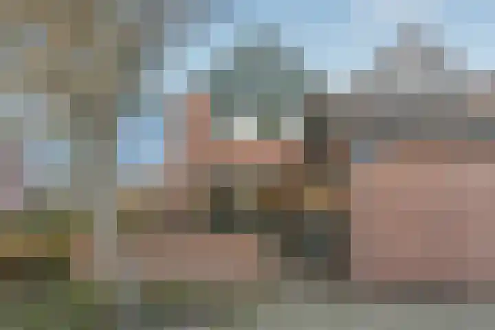 Kreeft 16 Katwijk thumbnail 6