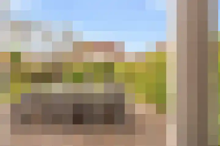 Kreeft 49 IJsselmuiden thumbnail 22