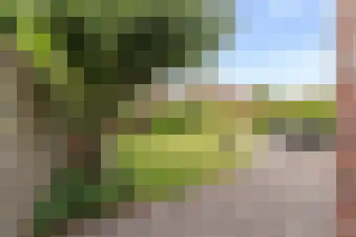 Kreeft 49 IJsselmuiden thumbnail 26