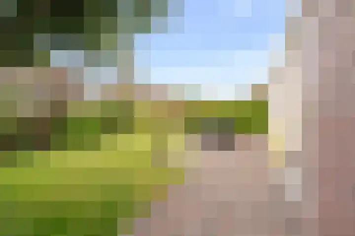 Kreeft 49 IJsselmuiden thumbnail 27