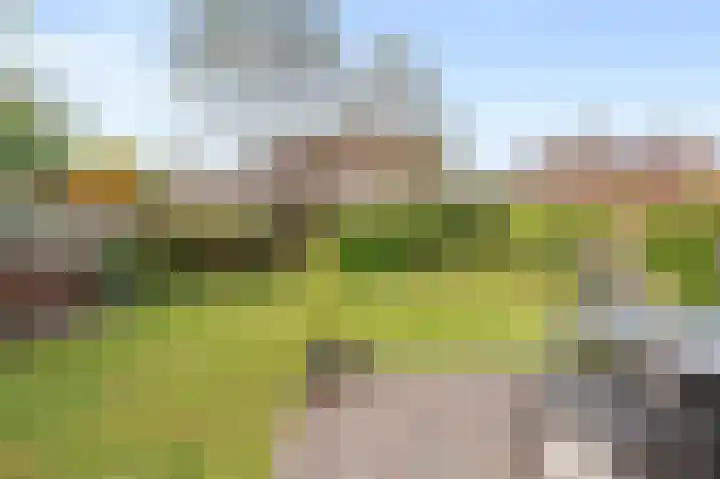 Kreeft 49 IJsselmuiden thumbnail 28