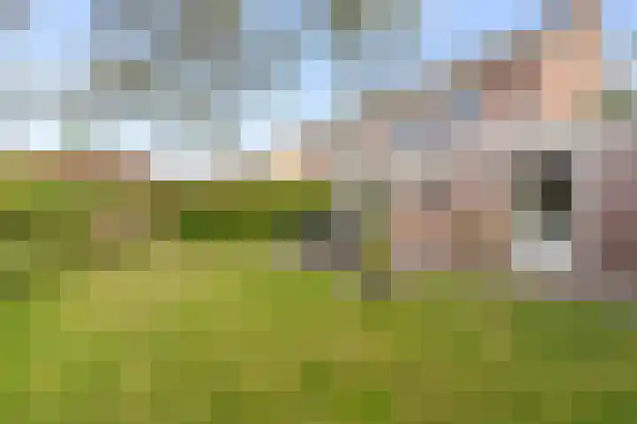 Kreeft 49 IJsselmuiden thumbnail 31