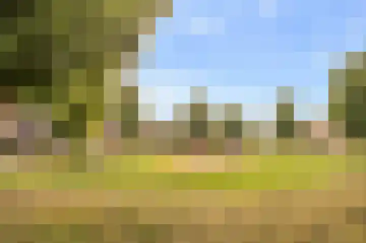 Kreeft 49 IJsselmuiden thumbnail 5