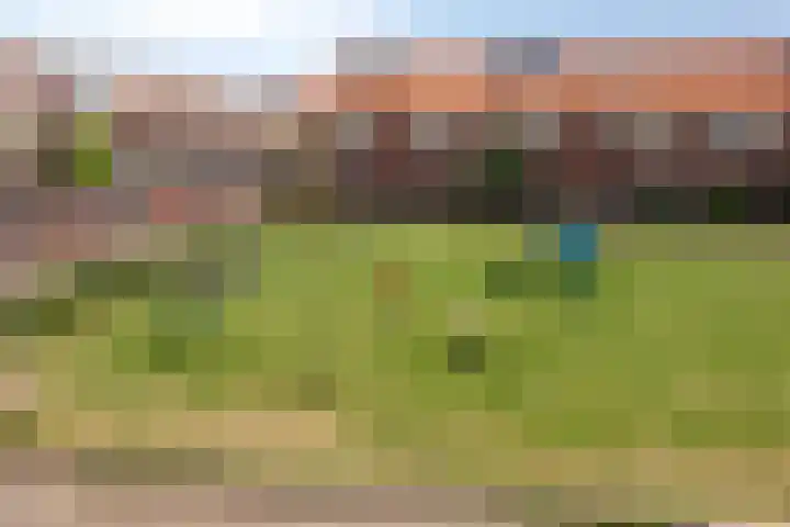 Kreeft 7 Elst thumbnail 28