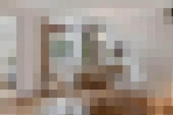Kreeftstraat 31 Eindhoven thumbnail 14