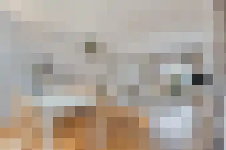 Kreeftstraat 31 Eindhoven thumbnail 15