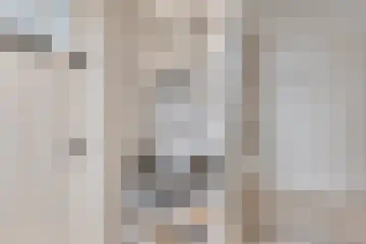 Kreeftstraat 31 Eindhoven thumbnail 23