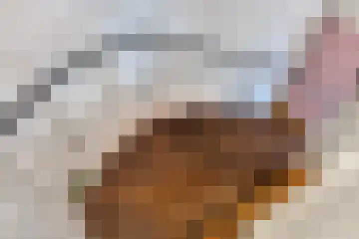 Kreeftstraat 31 Eindhoven thumbnail 28