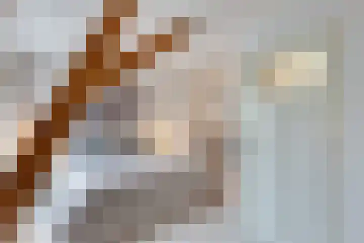Kreeftstraat 31 Eindhoven thumbnail 31