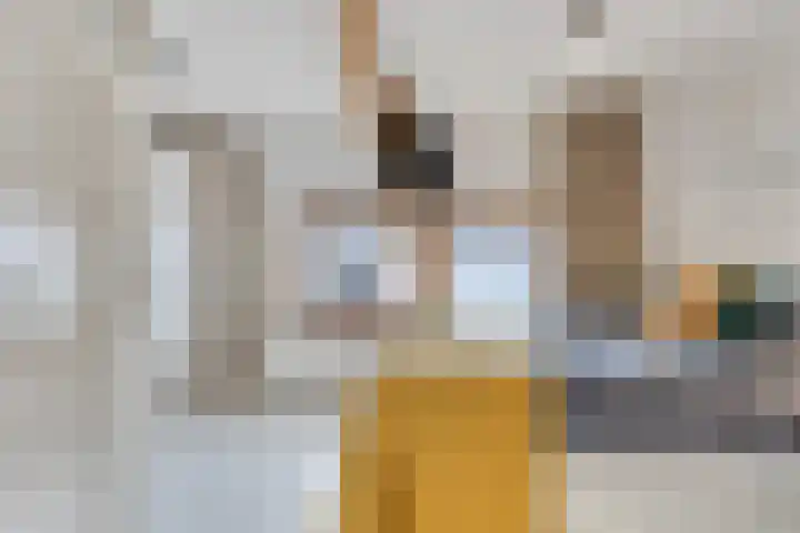 Kreeftstraat 31 Eindhoven thumbnail 35