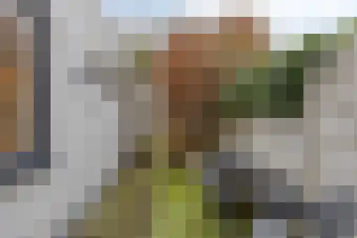 Kreeftstraat 31 Eindhoven thumbnail 41