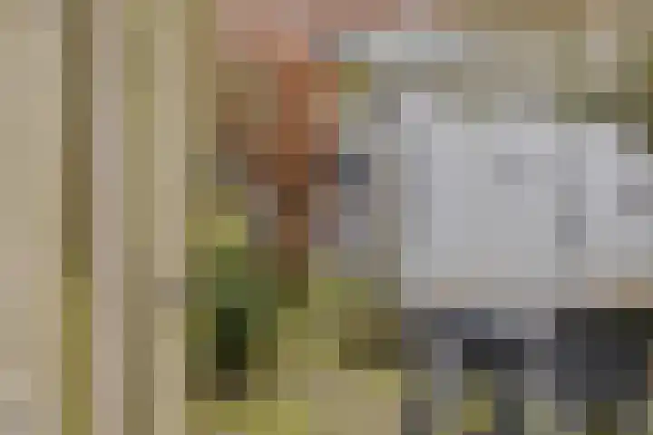 Kreeftstraat 31 Eindhoven thumbnail 42