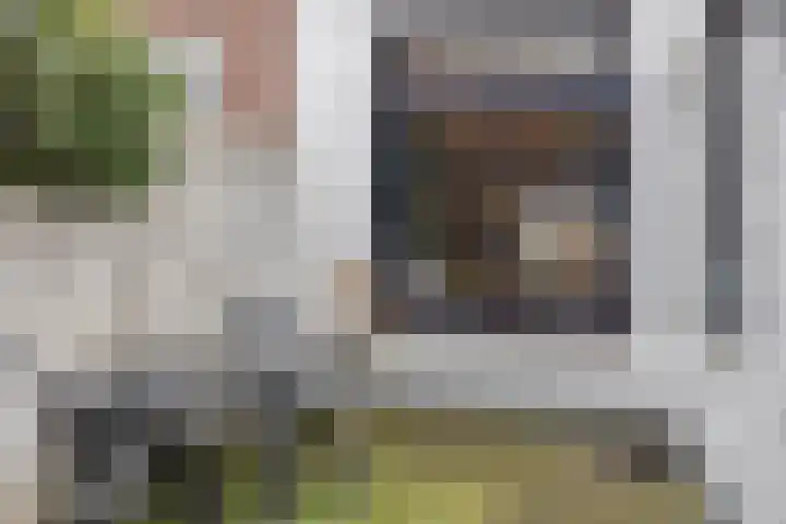 Kreeftstraat 31 Eindhoven thumbnail 44