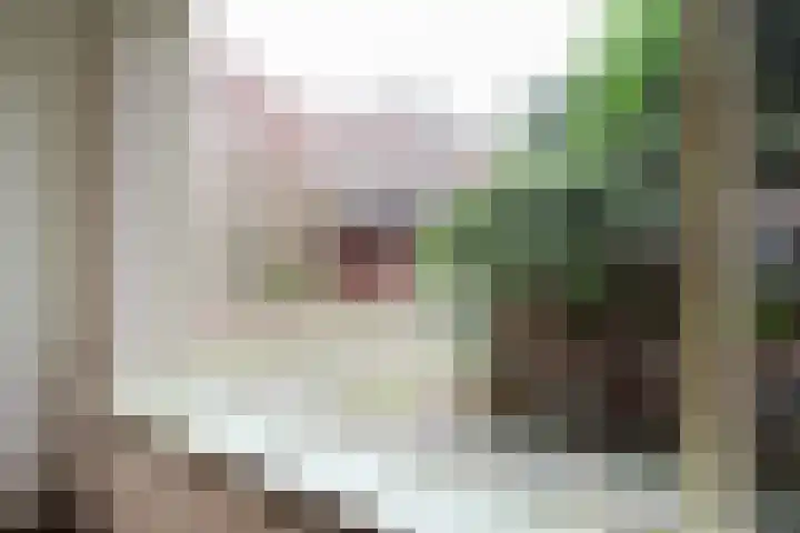 Kreek 11 Sneek thumbnail 15