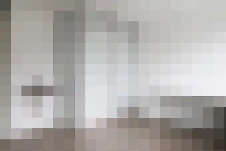 Kreek 11 Sneek thumbnail 27