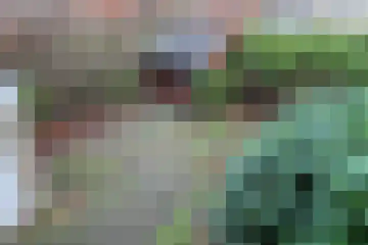 Kreek 11 Sneek thumbnail 32