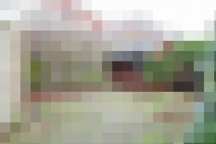 Kreek 11 Sneek thumbnail 33