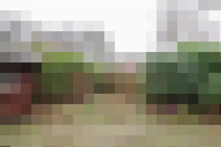 Kreek 11 Sneek thumbnail 34