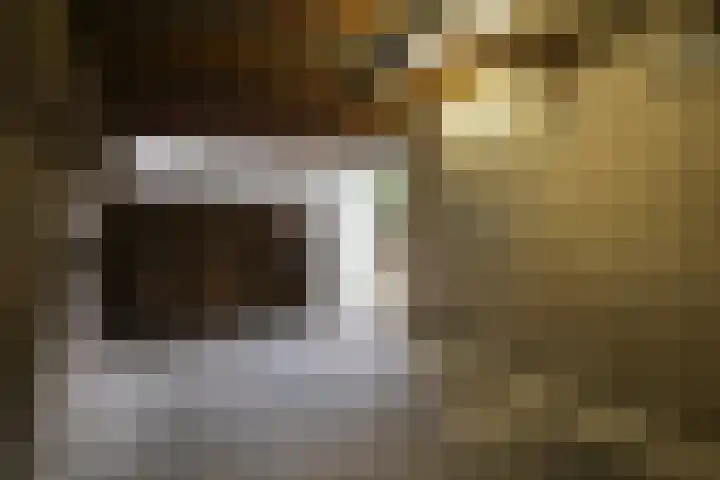 Kreek 11 Sneek thumbnail 36