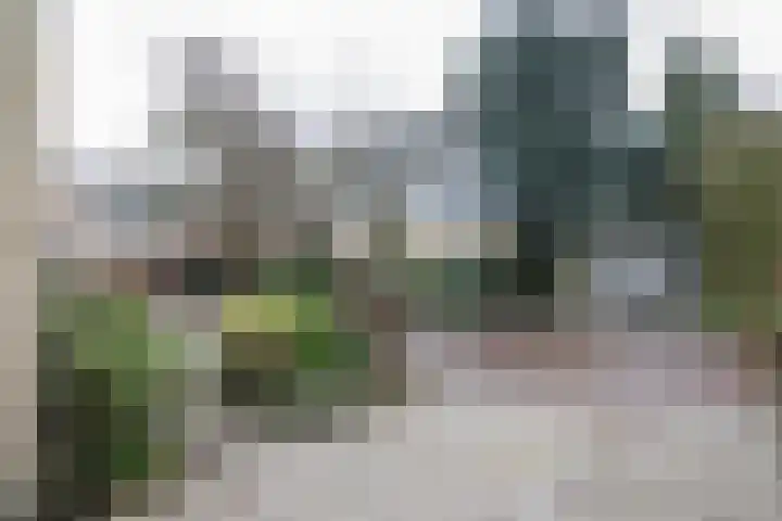 Kreek 11 Sneek thumbnail 38
