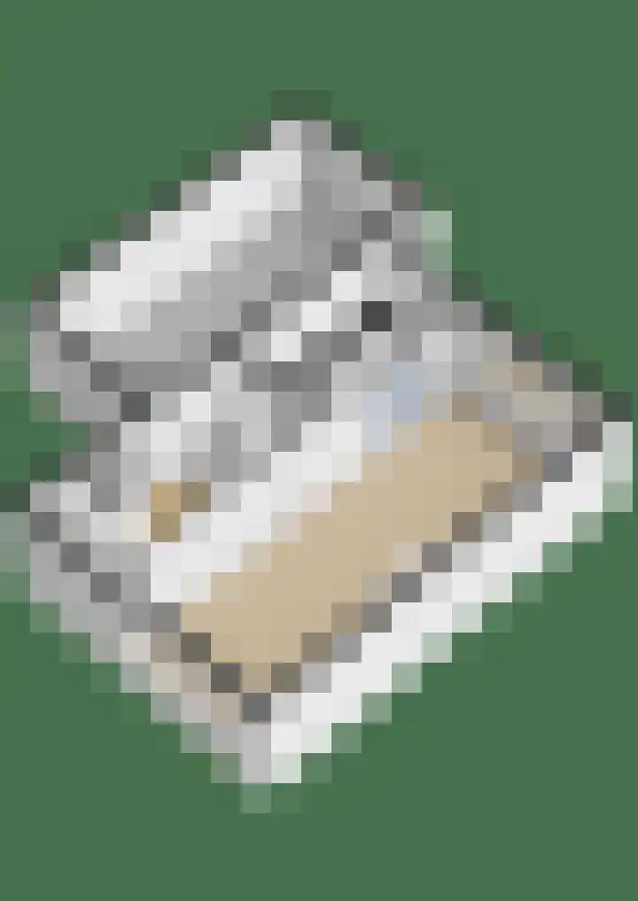 Kreek 11 Sneek thumbnail 42