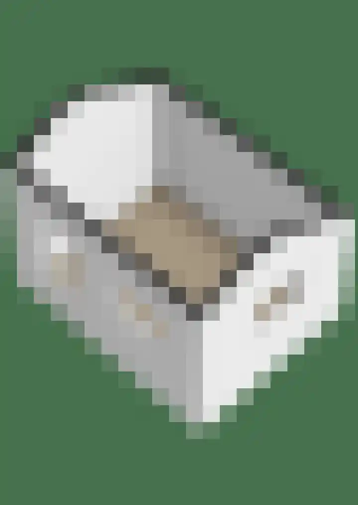 Kreek 11 Sneek thumbnail 48