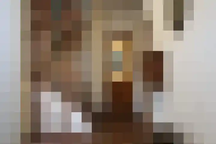Kreek 11 Sneek thumbnail 6
