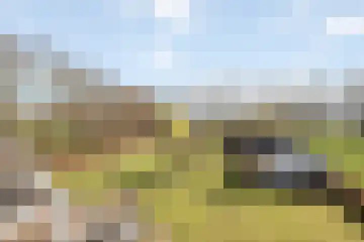 Kreek 30 Brielle thumbnail 27