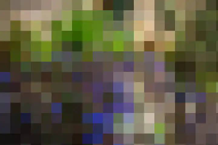 Kreek 30 Brielle thumbnail 30