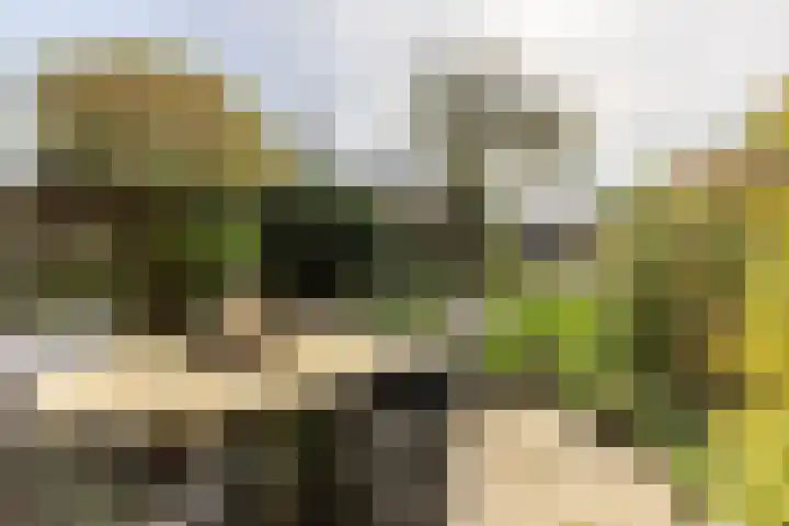 Kreek 30 Brielle thumbnail 36