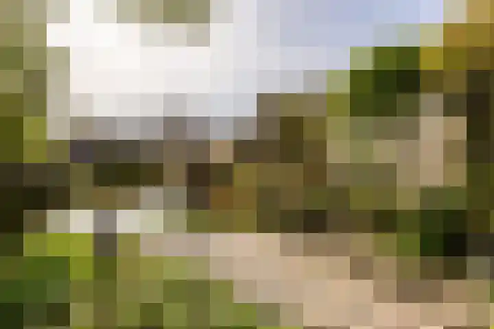 Kreek 30 Brielle thumbnail 38