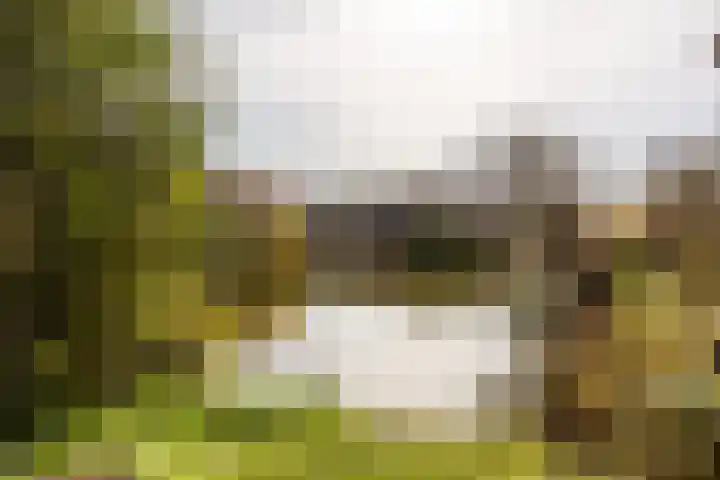 Kreek 30 Brielle thumbnail 39