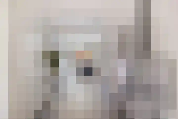 Kreek 30 Brielle thumbnail 41
