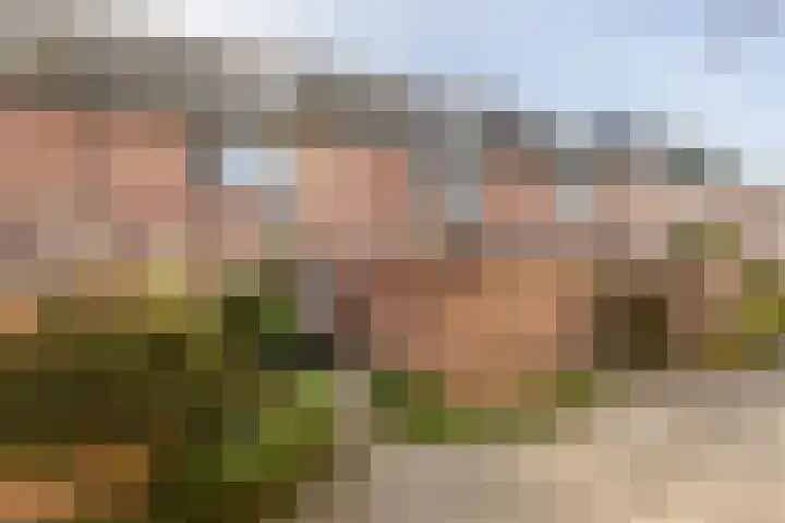 Kreek 30 Brielle thumbnail 42
