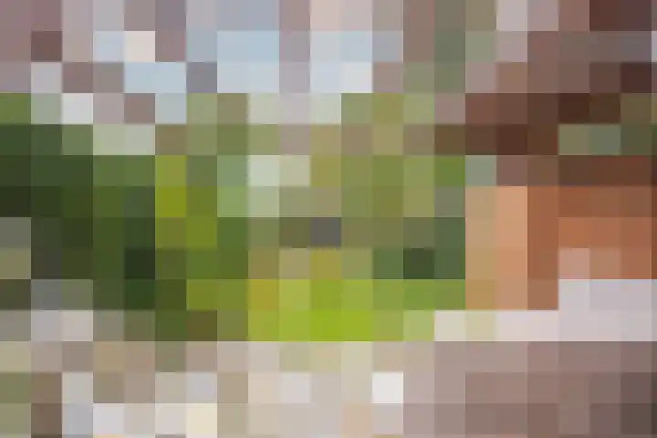 Kreek 30 Brielle thumbnail 49