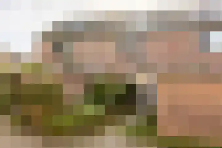 Kreek 30 Brielle thumbnail 6