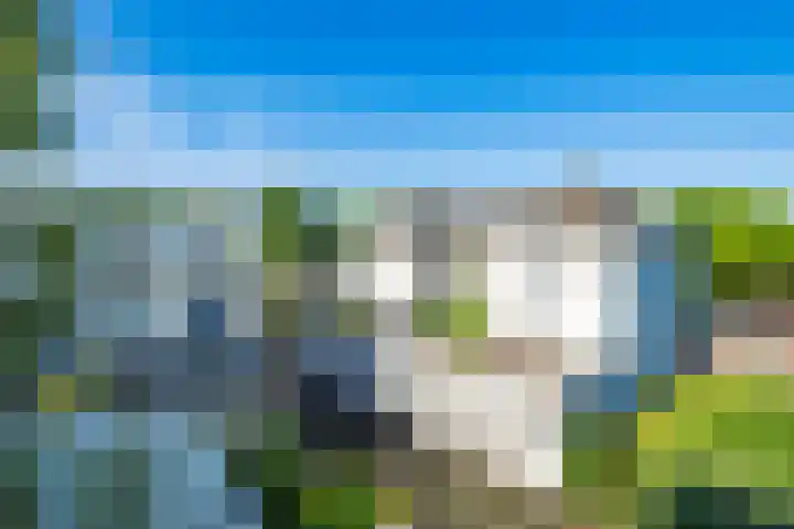 Kreek 30 Brielle thumbnail 8