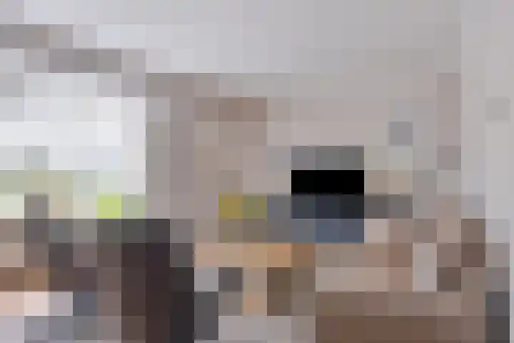 Kreekeind 12 Best thumbnail 12