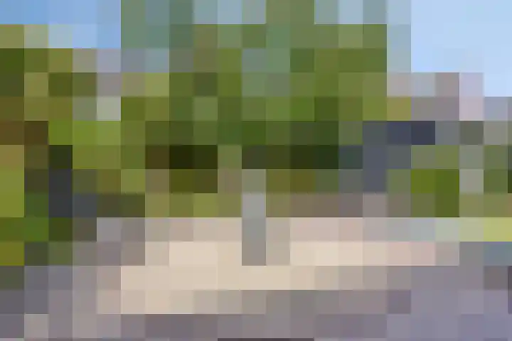 Kreekeind 12 Best thumbnail 41