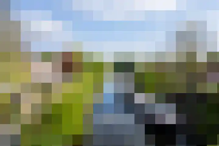 Kreijelmusweg 7 in Nederweert