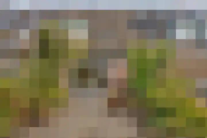 Krekel 22 Soest thumbnail 27