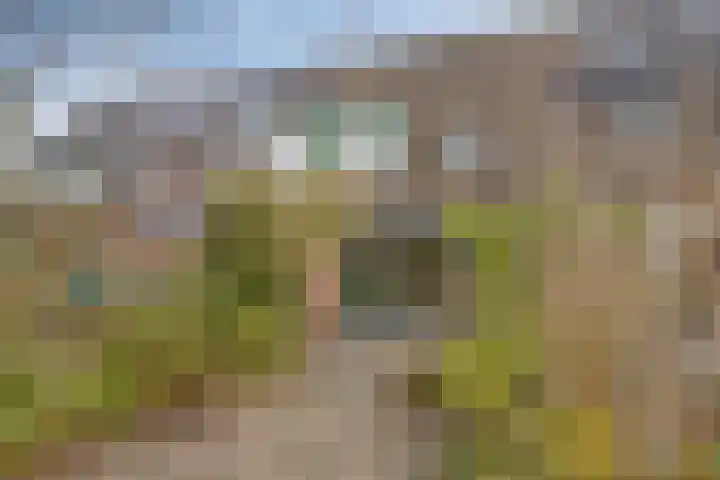 Krekel 22 Soest thumbnail 28
