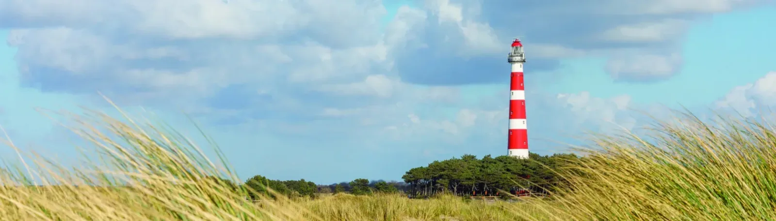 Team foto van Kremermakelaars.nl