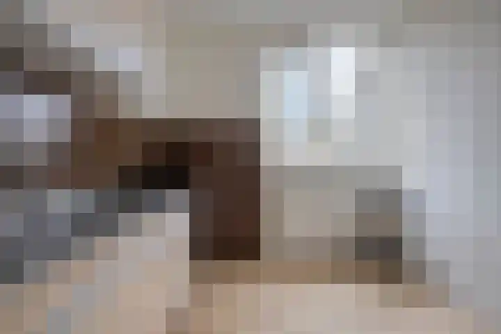 Kremersheerd 124 Groningen thumbnail 11