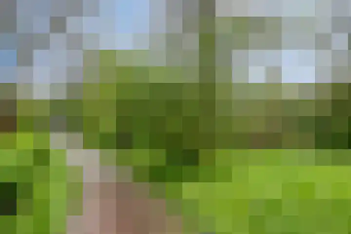 Kremersheerd 124 Groningen thumbnail 18