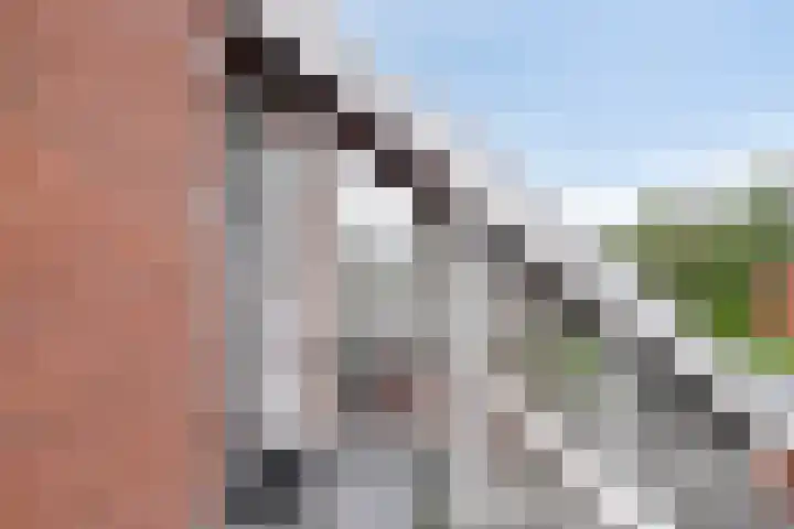 Kremersheerd 124 Groningen thumbnail 7