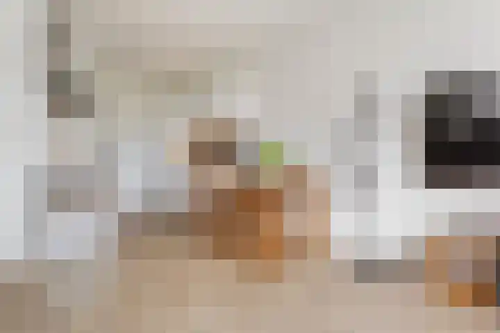Kremersheerd 178 Groningen thumbnail 18