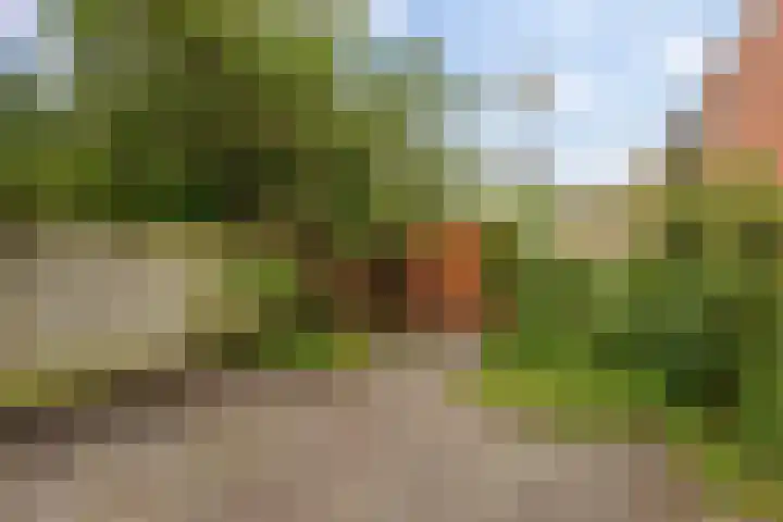 Kremersheerd 178 Groningen thumbnail 34