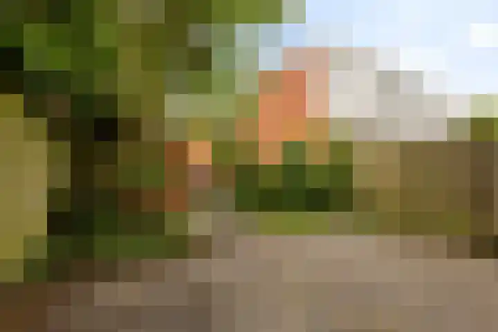 Kremersheerd 178 Groningen thumbnail 35